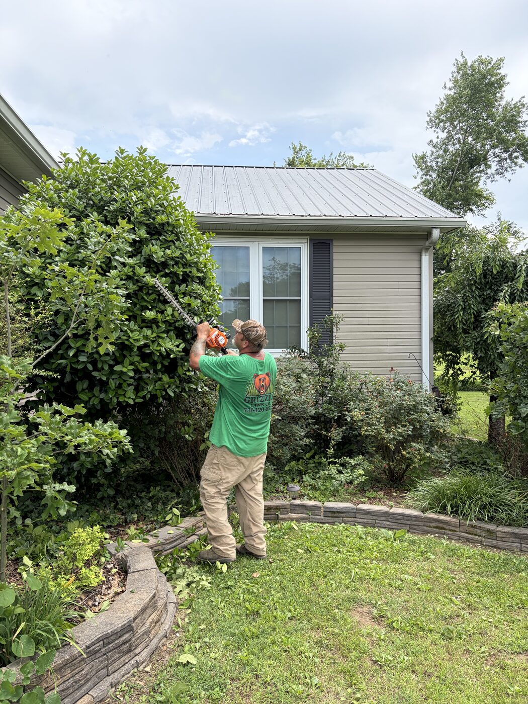 Grizzly Lawn Co. trimming an overgrown hedge